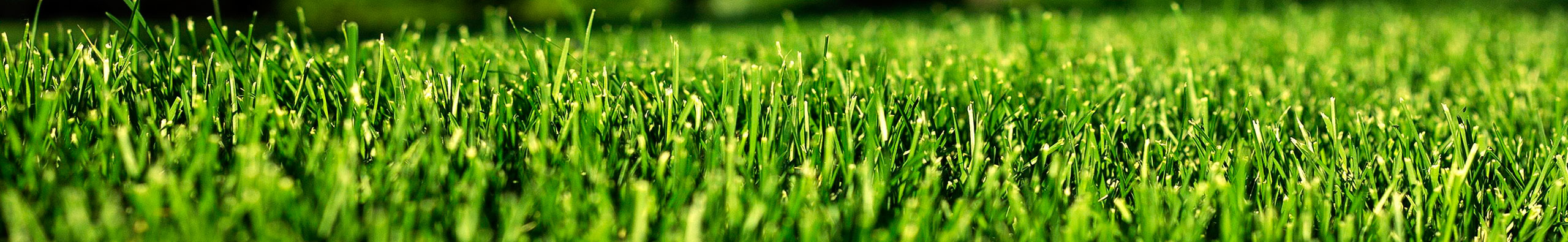 Synthetic Turf