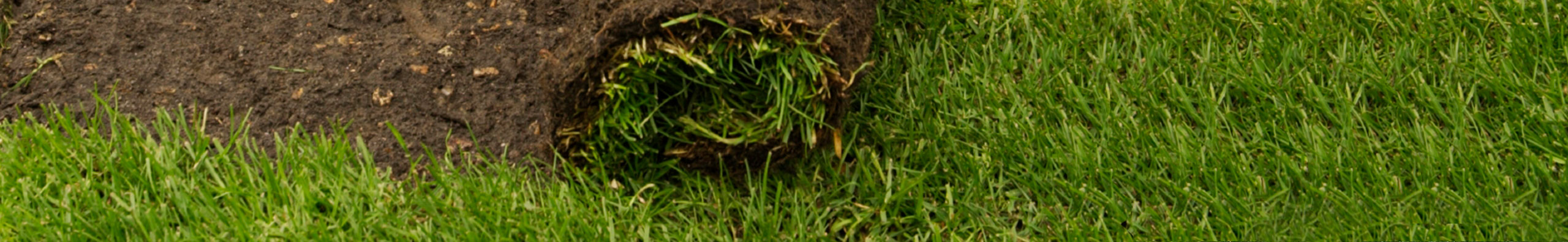 Instant Lawn