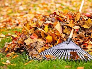 Autumn Lawn Care