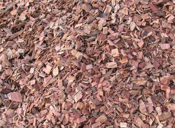 Red Gum Chips Samples