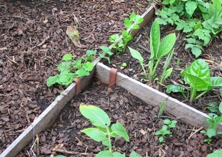 Jarrah Metal Pegs and Joiners