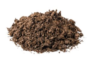 Mushroom Compost