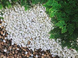 How to Use Sand in Your Garden: A Guide to Using Sand and Gravel in Your Garden