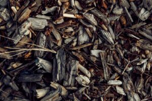 What Is Mulch Made Of? Exploring Different Mulch Types