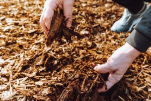 Is Mulching Better Than Mowing?